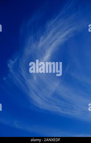 Bright white cirrus cloud in light blue sky, vertical frame.