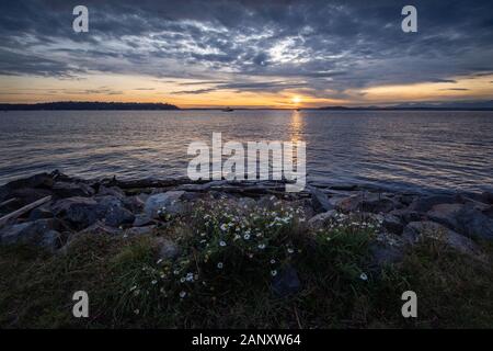 Sunset, Puget Sound. Setting sun over the waters of Elliot Bay at Myrtle Edwards Park. Elliot Bay is part of the Puget Sound on the pacific northwest Stock Photo