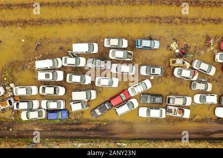 Salvage Car lot in a flooded field, Top down aerial view. Stock Photo