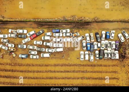 Salvage Car lot in a flooded field, Top down aerial view. Stock Photo