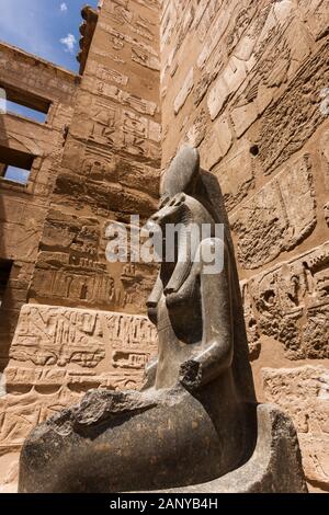 Statue of the lion-headed goddess Sekhmet in the Mortuary Temple of ...
