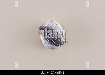 One turkey egg on a light background. Easter concept. Minimalist style. Flat lay. Copy spase. Stock Photo