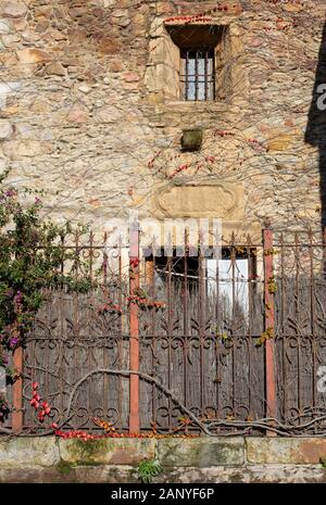 Red vine in old hermitage Stock Photo