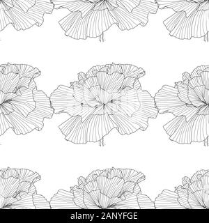 California poppy flowers drawn and sketch with line-art on white