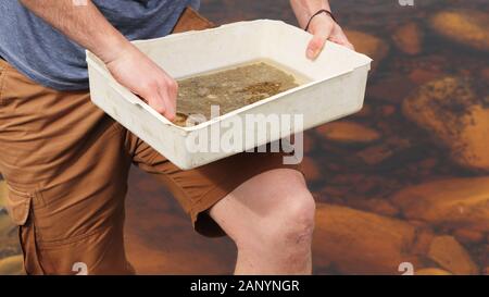 Person holding a white bucket filled with water and small rocks Stock Photo