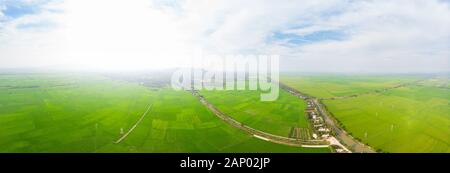 Aerial view of rice fields in the Mekong River Delta region, South Vietnam. Green rice paddies from above, agriculture developing countries. Stock Photo