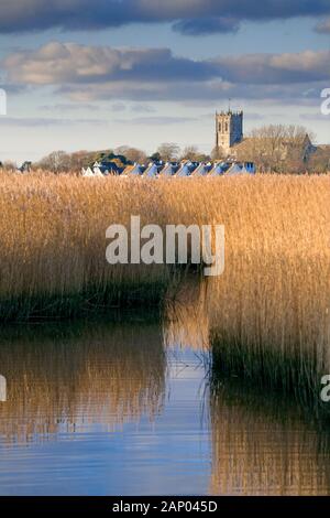 Norfolk Reeds by River Stour Stock Photo - Alamy