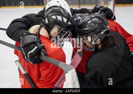 High angle portrait of female hockey team huddling for motivation before sports match Stock Photo