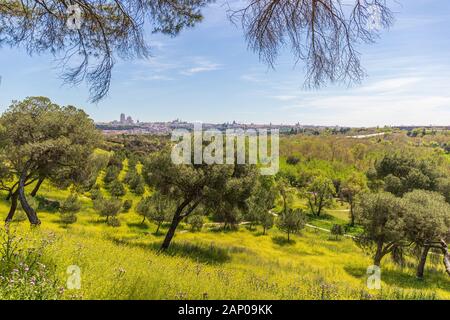 View from Casa de Campo park in Madrid Stock Photo