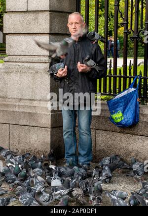 Man feeding pigeons in park in the St Stephen's Green area of Dublin in Ireland. Stock Photo