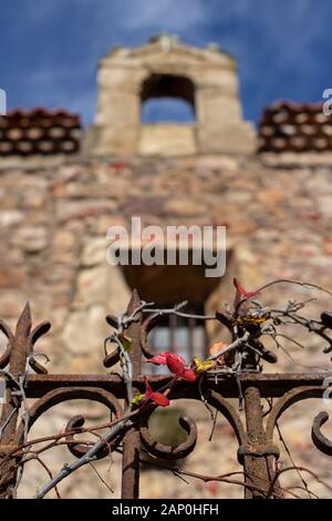 Red vine in old hermitage Stock Photo