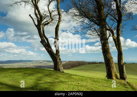 Early spring at Chanctonbury Ring. Stock Photo