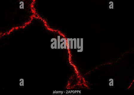 Electric discharge on a black background. A flash of electrical energy. Abstract background with red lines. Geometric technology Stock Photo