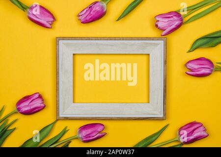 pink tulips and a white empty frame on yellow colour background Stock Photo