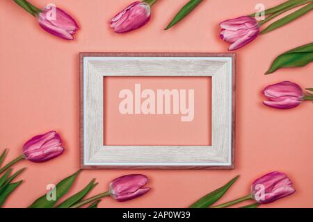 pink tulips and a white empty frame on pink colour background Stock Photo