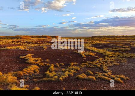 Savanna outback, West Kimberley, Western Australia | usage worldwide