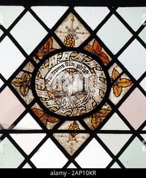A circa 16th century stained glass roundel with an eagle or caladrius, Greystoke,  Cumbria Stock Photo
