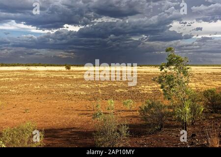 Savannah landscape with stormy sky, West Kimberley, Western Australia | usage worldwide