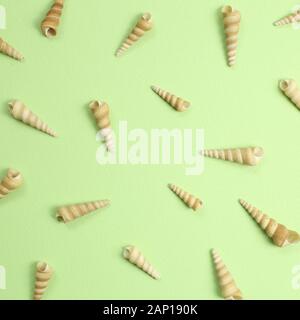 Marine decoration conch seashells on green background Stock Photo