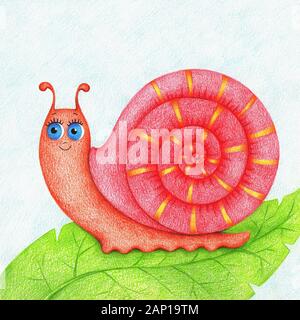 Hand drawn illustration of snail for kids Stock Photo