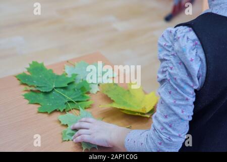children's hands with autumn leaves on desk, master class with autumn leaves for children Stock Photo