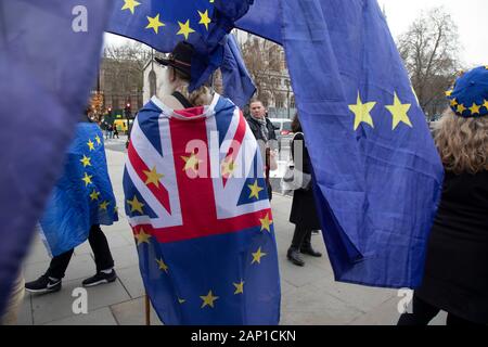 Anti Brexit protesters waving European Union flags in Westminster outside Parliament on 8th January 2020 in London, England, United Kingdom. With a majority Conservative government in power and Brexit day at the end of January looming, the role of these protesters is now to demonstrate in the hope of the softest Brexit deal possible. Stock Photo