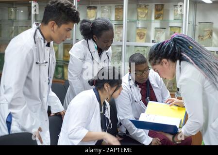 doctors, mixed race, in the classroom, at a medical conference. Young people, in white coats, with stethoscopes, are studying medicine. Classroom, ana Stock Photo