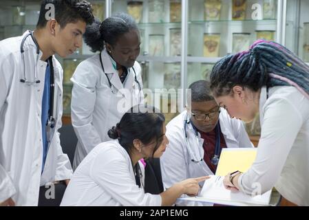 doctors, mixed race, in the classroom, at a medical conference. Young people, in white coats, with stethoscopes, are studying medicine. Classroom, ana Stock Photo