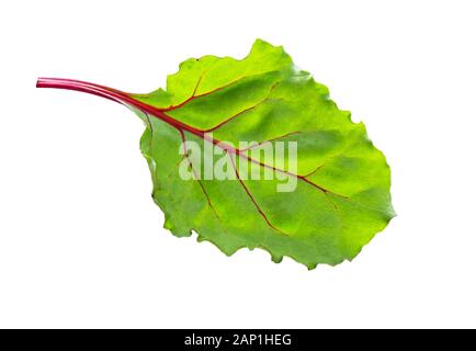 Beet leaves. Beetroot leaves, fresh beet leaf isolated on white background Stock Photo