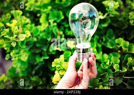 Solar light bulb in hand against natural background of ginkgo biloba tree. Concept of ecology, green energy, creative ideas Stock Photo