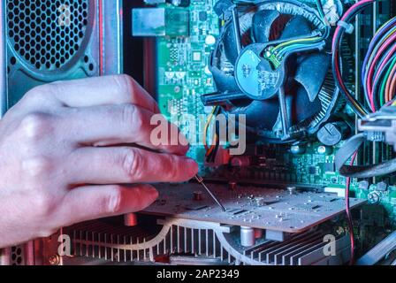 Close-up of professional equipment master repairing computer software. The hand of a master with a screwdriver repairs microcircuit technology. Cleani Stock Photo