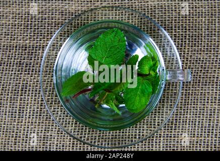 Top view on isolated transparent tea glass cup with fresh mint leaves. jute mat background. Stock Photo