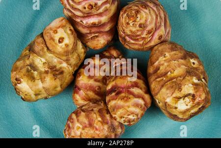 Close up of group Jerusalem artichokes (Topinambur) tubers on blue china plate as low carb alternative for potatoes Stock Photo
