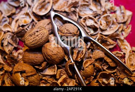 Close up pile with cracked walnut shells and isolated retro lever nutcracker with red background. Stock Photo