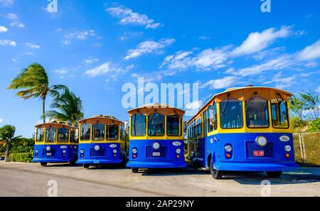 Grand Cayman, Cayman Islands, Jan 2019, blue trolley buses from the MarineLand Tours company parked Stock Photo