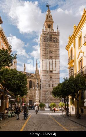 Seville Cathedral, Giralda bell tower covered with scaffolding, Sevilla, under renovation, Andalusia, Spain.