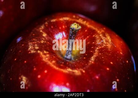 Close up of isolated red dotted shiny isolated dessert apple with focus on stalk. Blurred apples background. Stock Photo