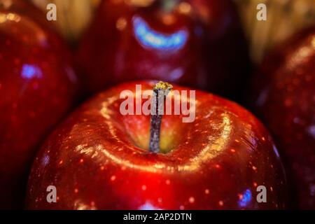 Close up of isolated red dotted shiny isolated dessert apple with focus on stalk. Blurred apples background. Stock Photo