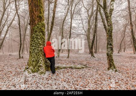 Gabala, Azerbaijan - January 20, 2020: Young man is leaning on a tree in a winter forest Stock Photo