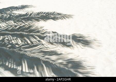 Palm leaf shadows on a white sand on tropical beach. Trendy holiday concept. Selective focus. Stock Photo