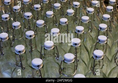 Close up of isolated group of empty glass bottles in rows with white metal swing top stopper (cliplock) Stock Photo