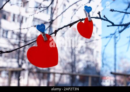 Two red hearts on branch against the blue sky and residential buildings. Concept Valentines day Stock Photo