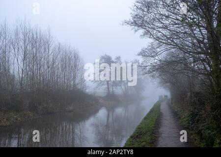 Foggy English winter morning. Walk next to Trent and Mersey Canal in Staffordshire, near the small town Stone. Stock Photo