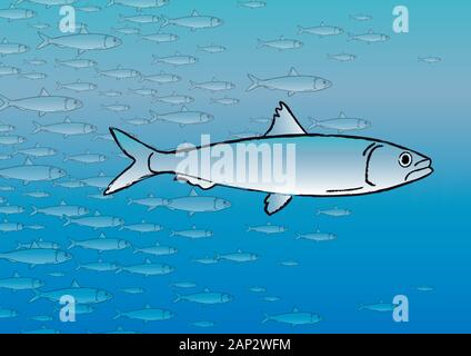 Sardine bank fish on a water background, vector illustration Stock Vector