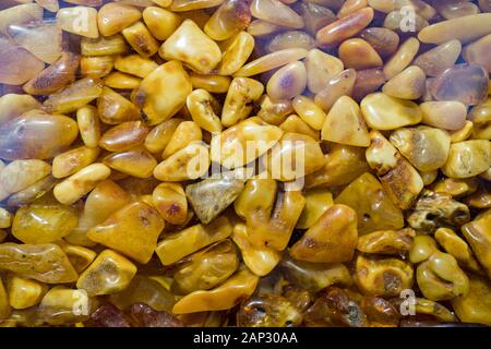 Amber grains with backlight illumination as texture or background. heap of amber stones backlightet glowing. Small raw amber. amber stones rectangular Stock Photo