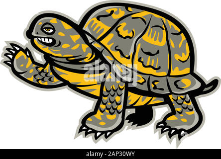 Mascot icon illustration of an eastern box turtle or land turtle ...