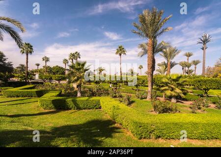 Lalla Hasna park with palm trees and blue sky in summer near Koutoubia Stock Photo