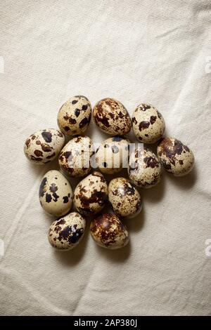 Quail eggs on a white tablecloth. Stock Photo
