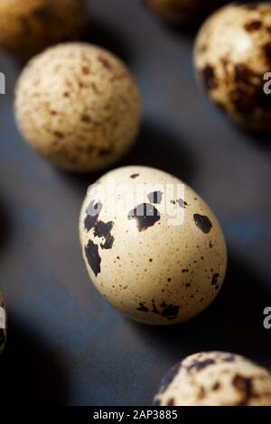 Quail eggs on a black table. Stock Photo