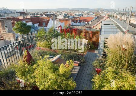 Wien, Dachgarten - Vienna, Rooftop Garden Stock Photo